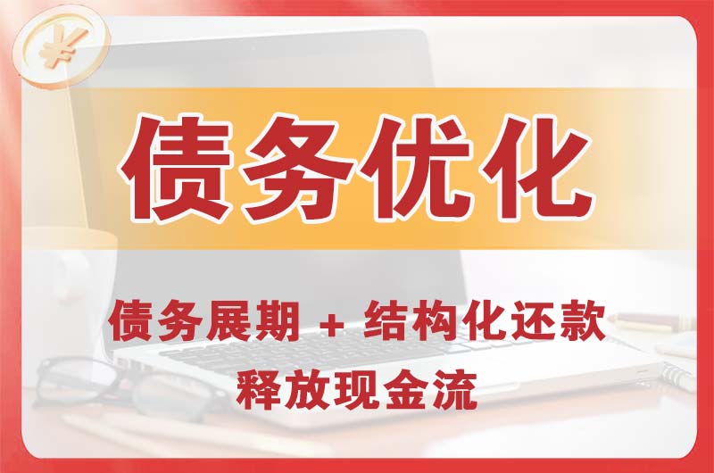 理县债务优化