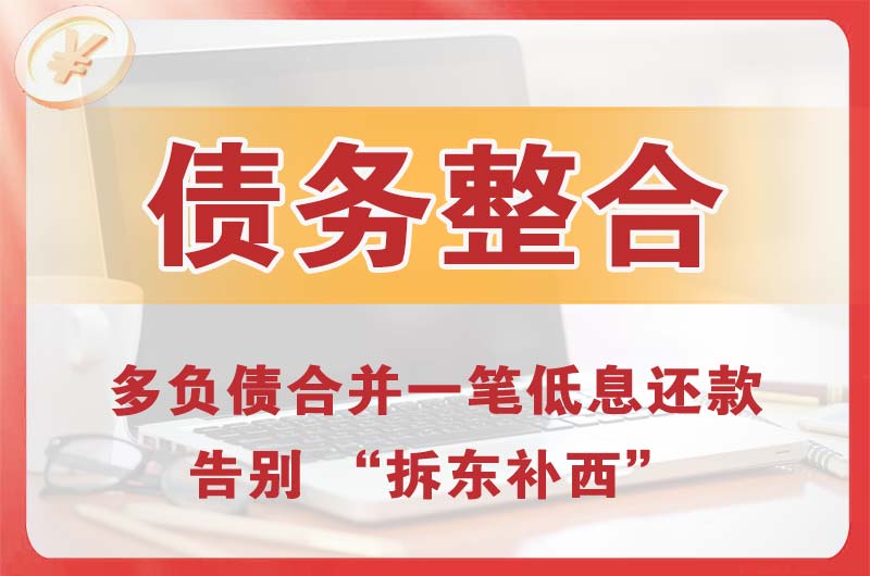 理县债务整合