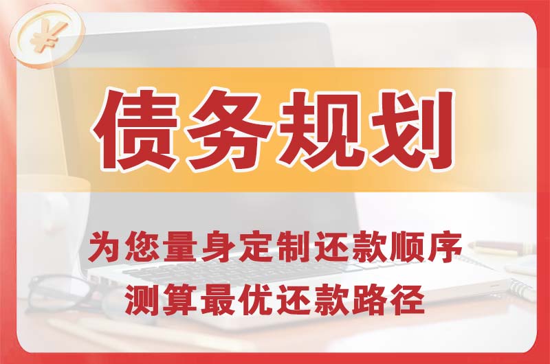 理县债务规划